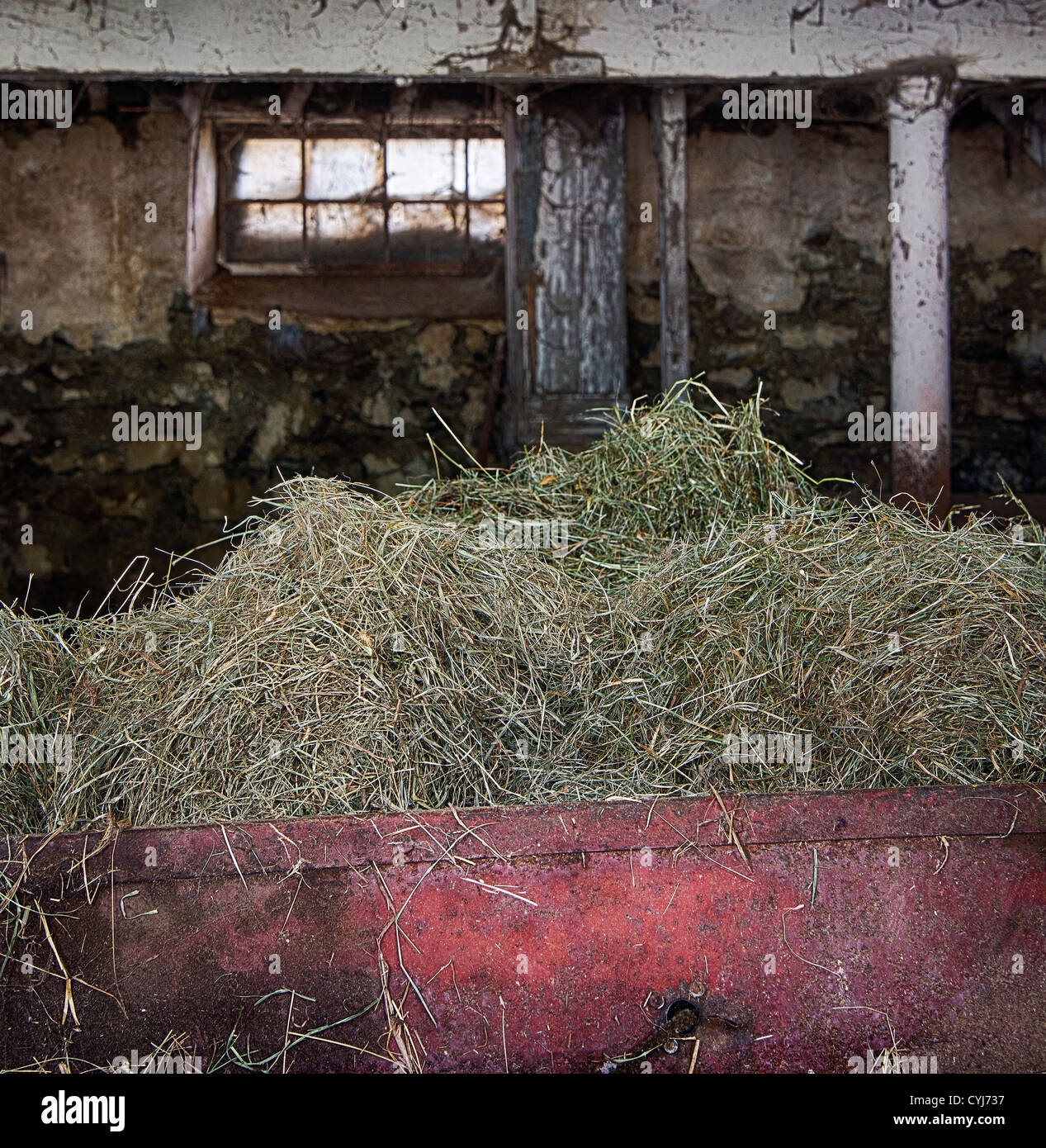 En un granero de heno para alimentar ganado bin Foto de stock
