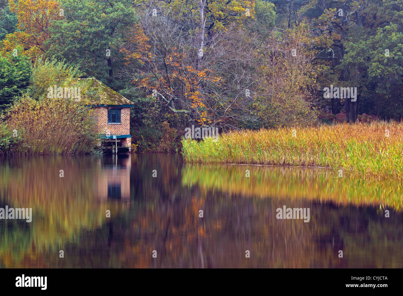 Foto del antiguo cobertizo en el estanque de Frensham en Surrey, Inglaterra Foto de stock