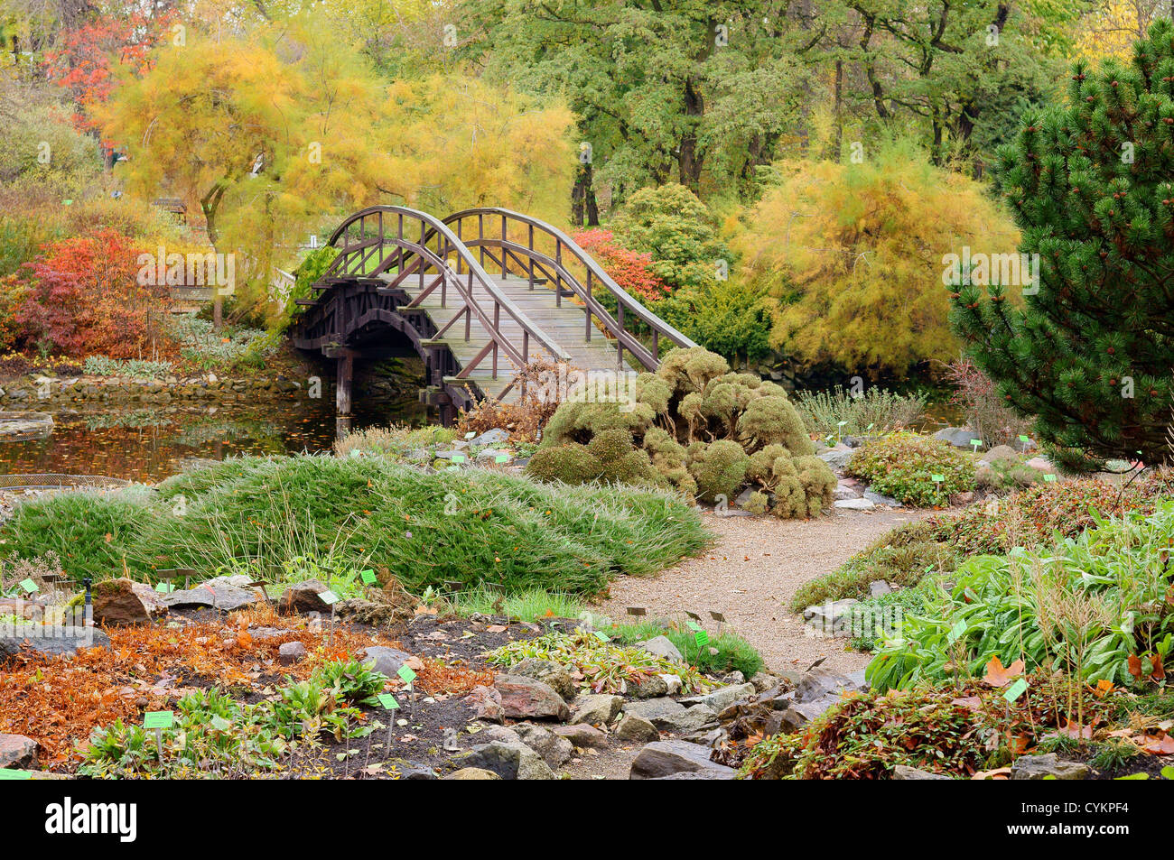 Jardín botánico de Wroclaw en coloridas hojas de otoño Foto de stock