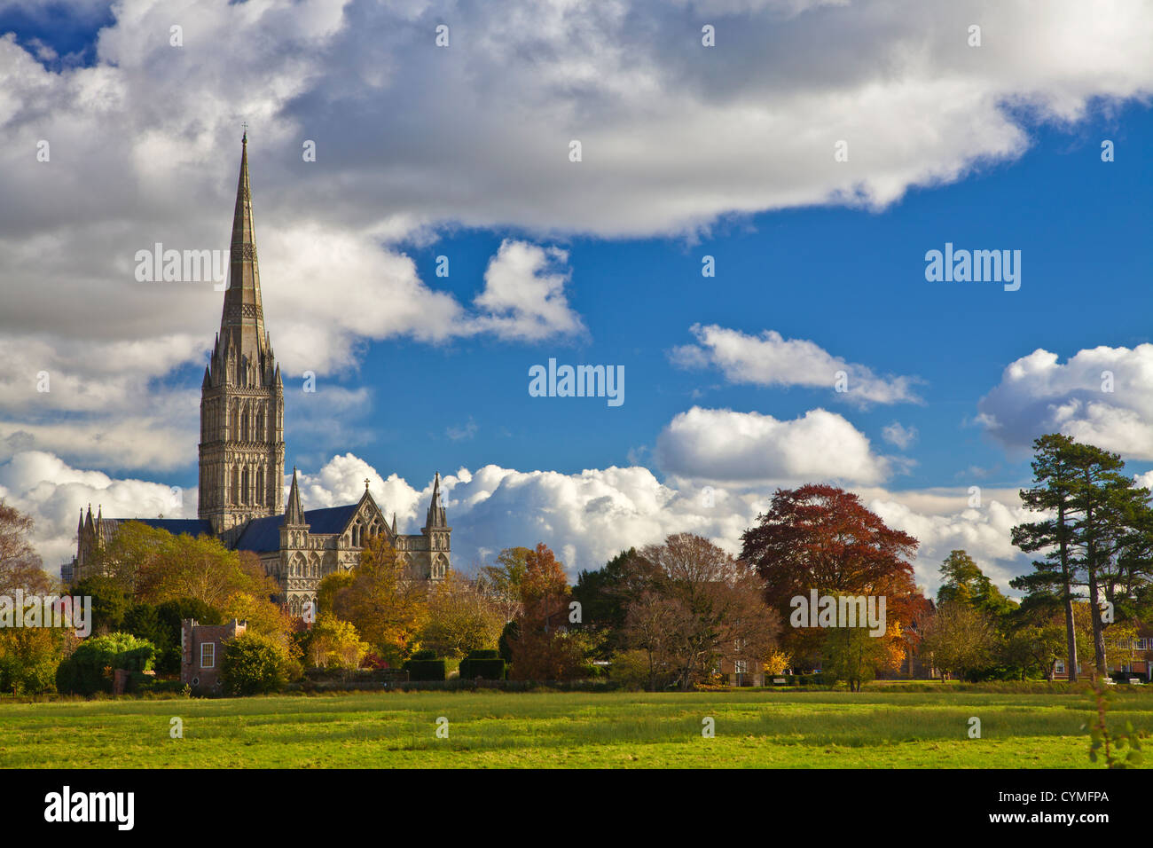 Vista otoñal de la torre medieval de la Catedral de Salisbury, Wiltshire, Inglaterra, Reino Unido. Versión mono en CYMFTD Foto de stock