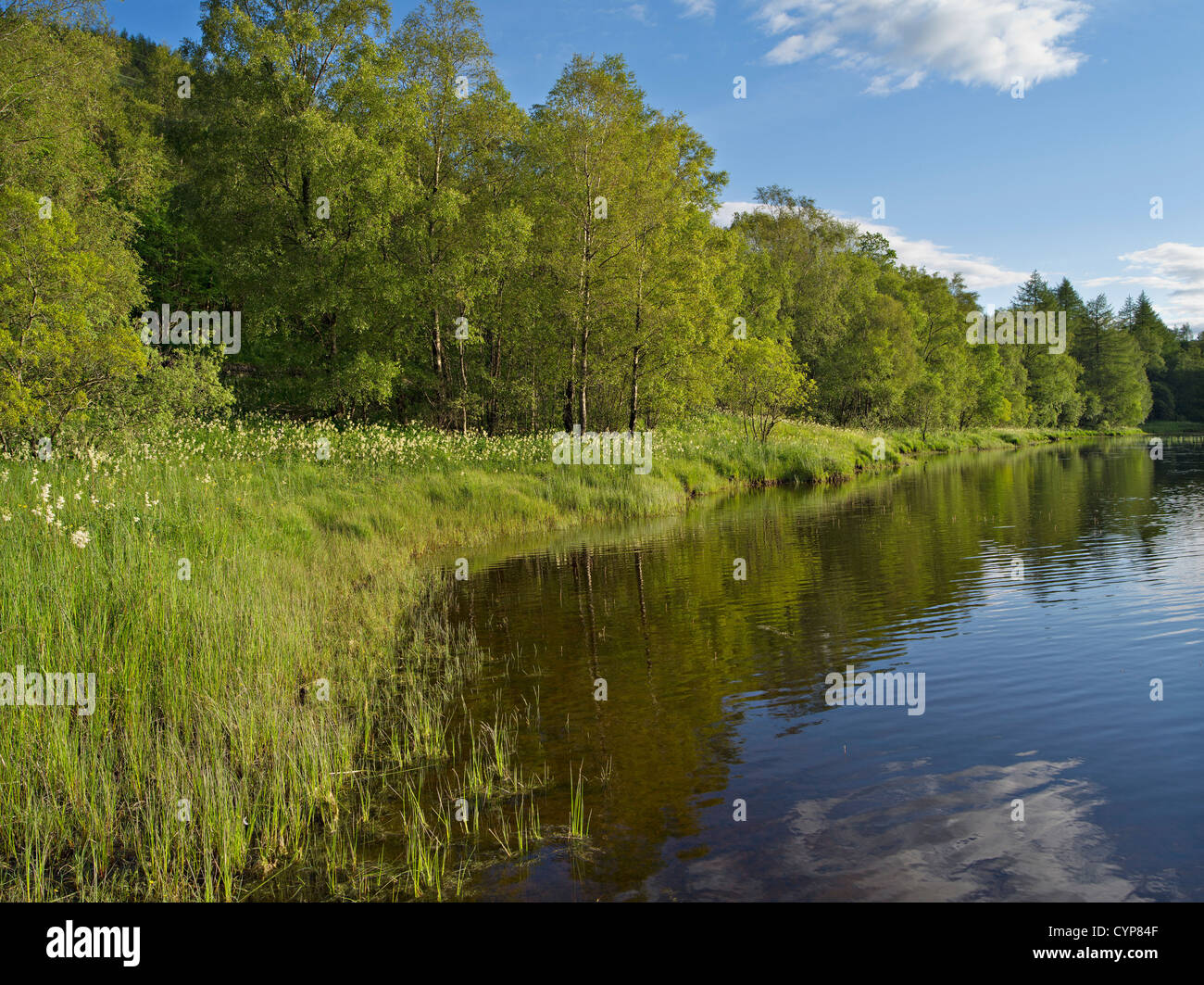 Fluviales boscosos se reflejan en las tranquilas aguas del río Dochart cerca KIlin, Perthshire, Escocia Foto de stock