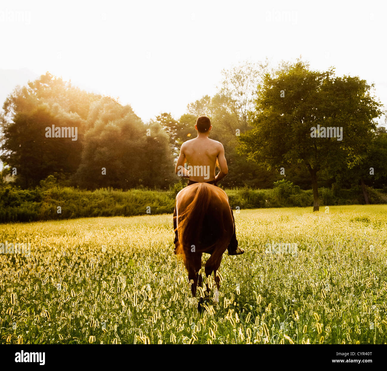 Hombre caucásico en caballo en el campo Foto de stock