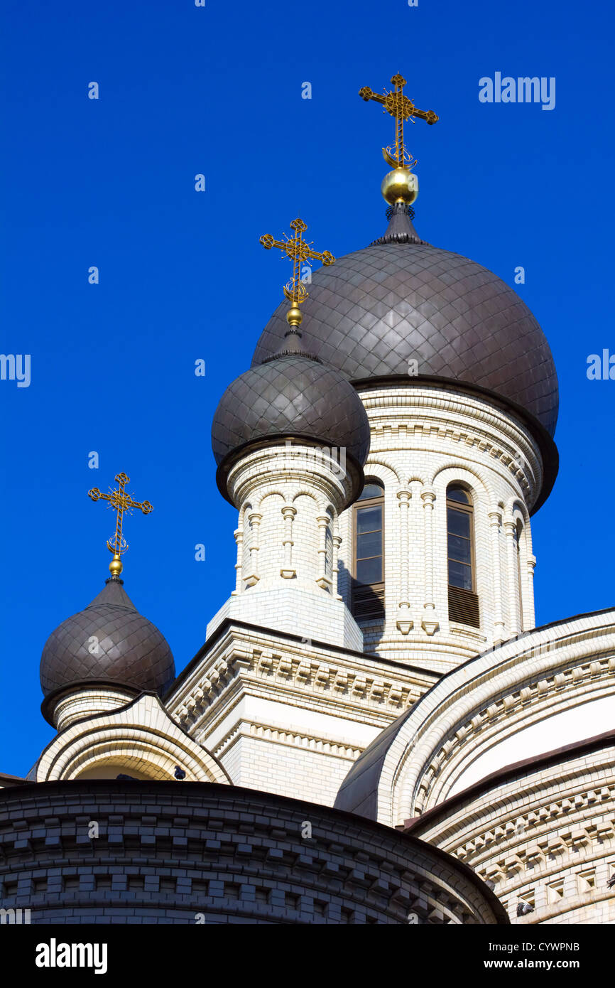 Monasterio de Valaam domo en San Petersburgo, Rusia Foto de stock