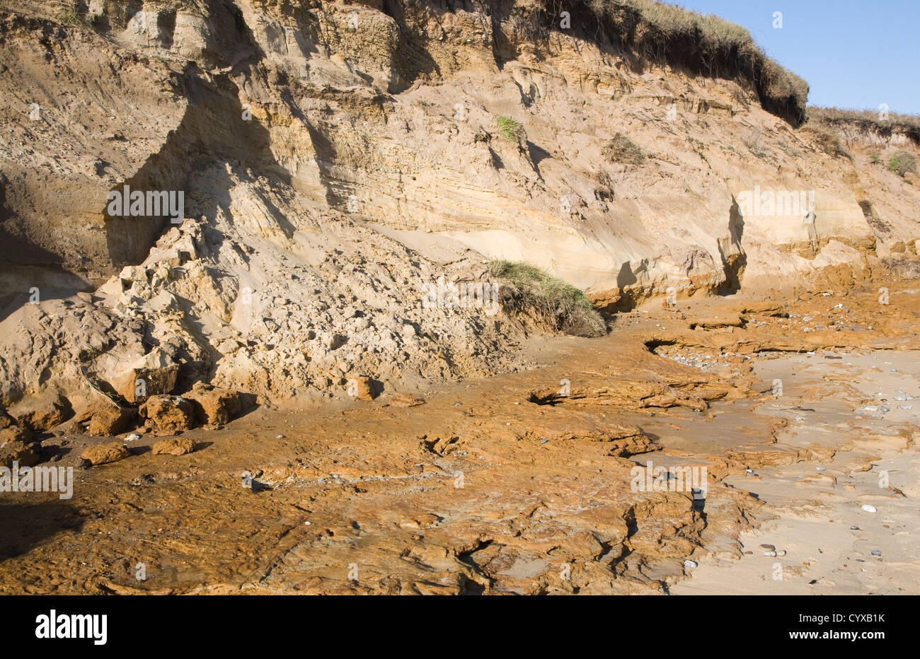 Línea para la primavera el agua penetra entre arenas permeable e impermeable  a base de arcilla erosionando acantilados a Benacre, Suffolk, Inglaterra  Fotografía de stock - Alamy
