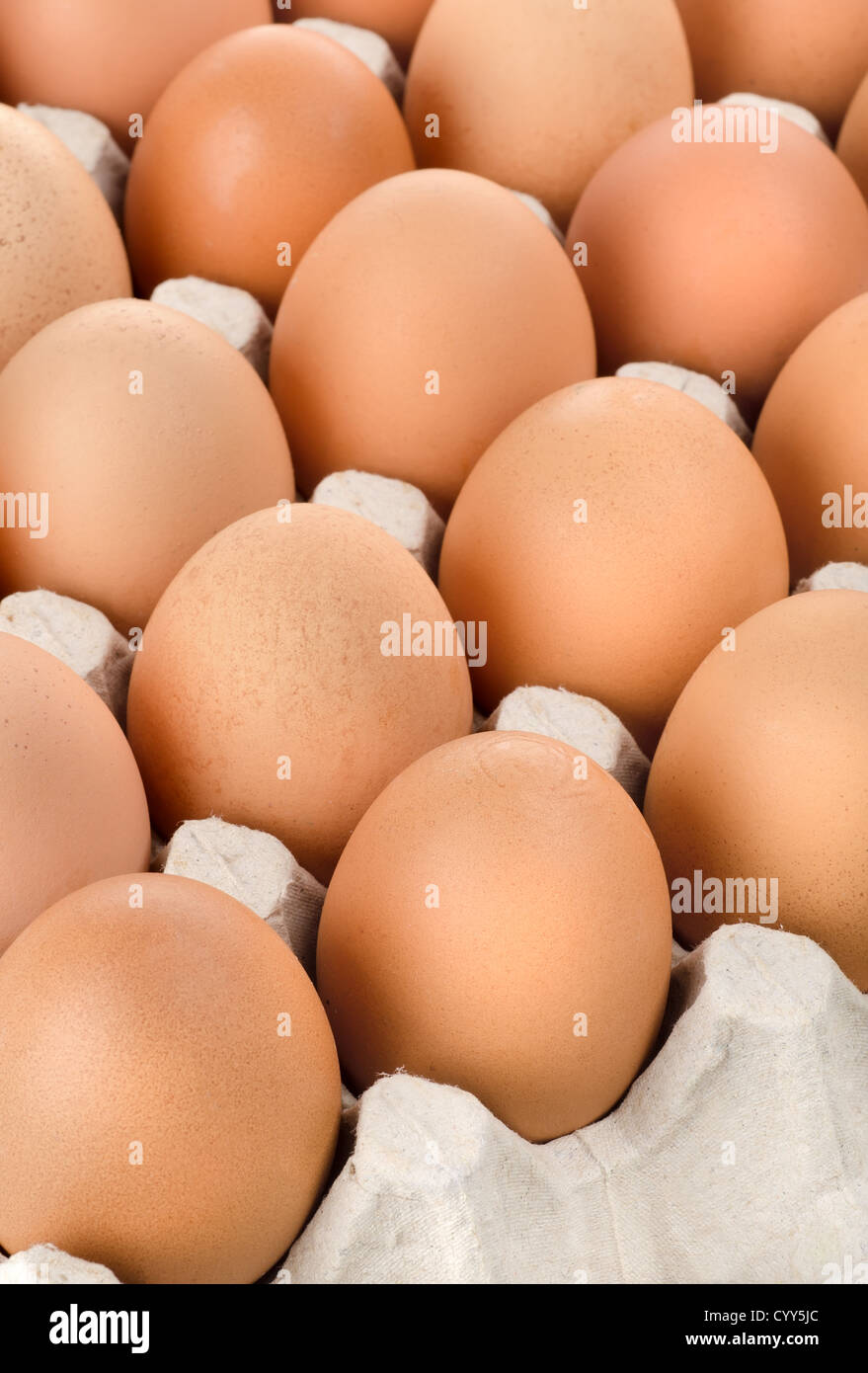 Huevos de gallina de color marrón en la bandeja de cartón Foto de stock