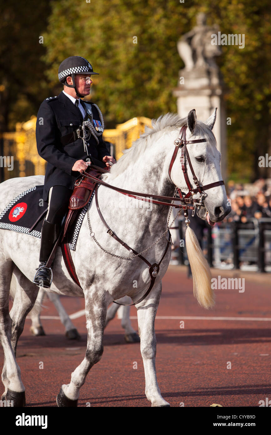 Policía Montada en el Palacio de Buckingham, Londres, Inglaterra, Reino Unido. Foto de stock