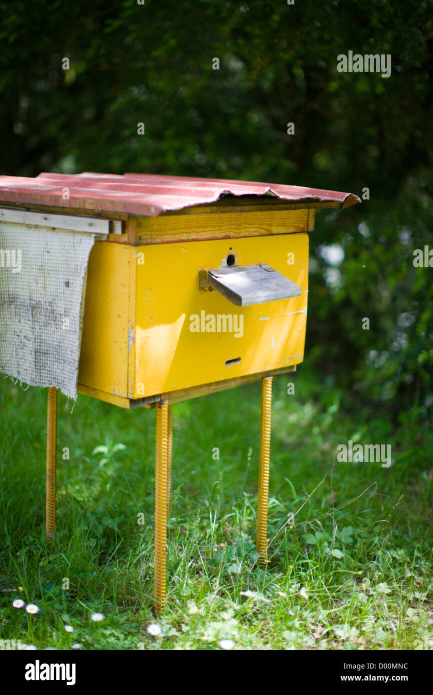 Amarillo colmena rural de colonia de abejas día de verano closeup Foto de stock