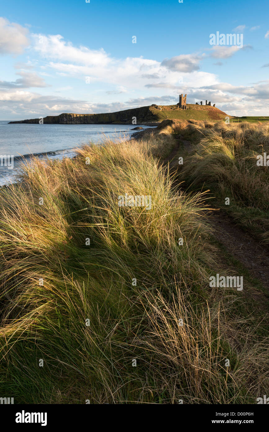 Castillo de Dunstanburgh a principios de noviembre por la tarde la luz Foto de stock