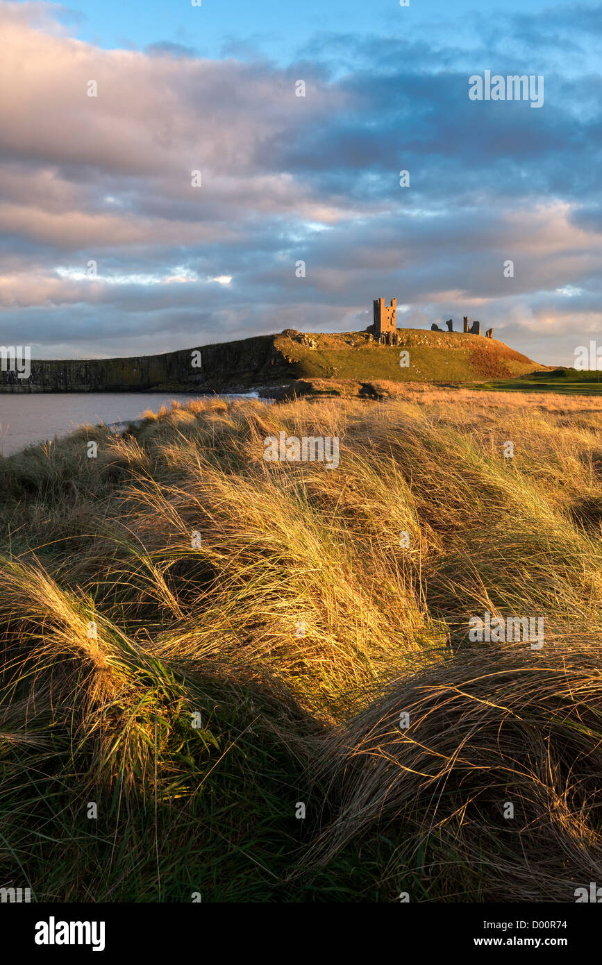 Castillo de Dunstanburgh, justo antes de la puesta de sol bañado en la última luz de la tarde Foto de stock