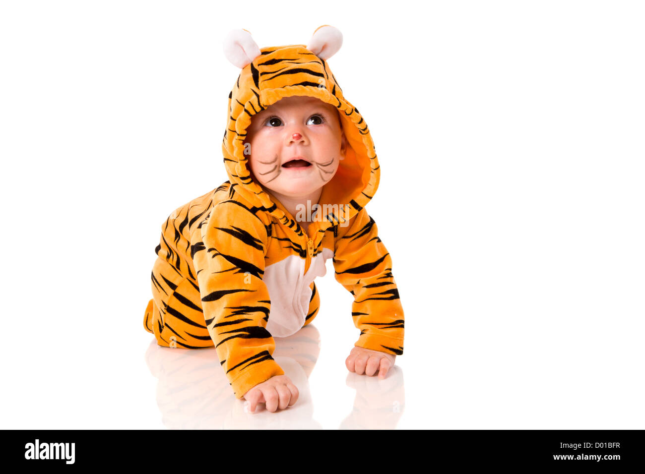 Tiger baby Imágenes recortadas de stock - Alamy
