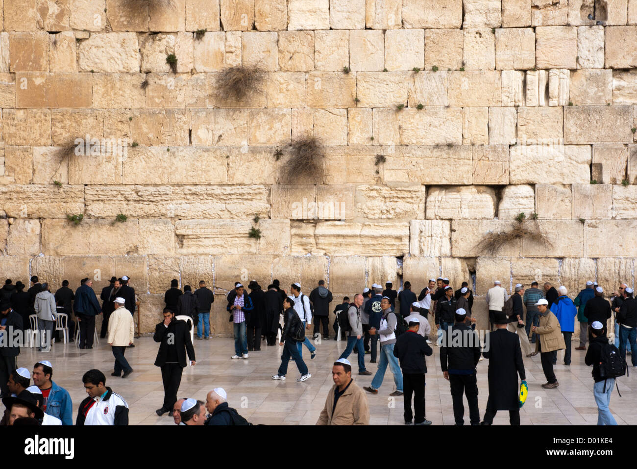 Adoradores judíos orar ante el Muro de las Lamentaciones. Jerusalén Foto de stock