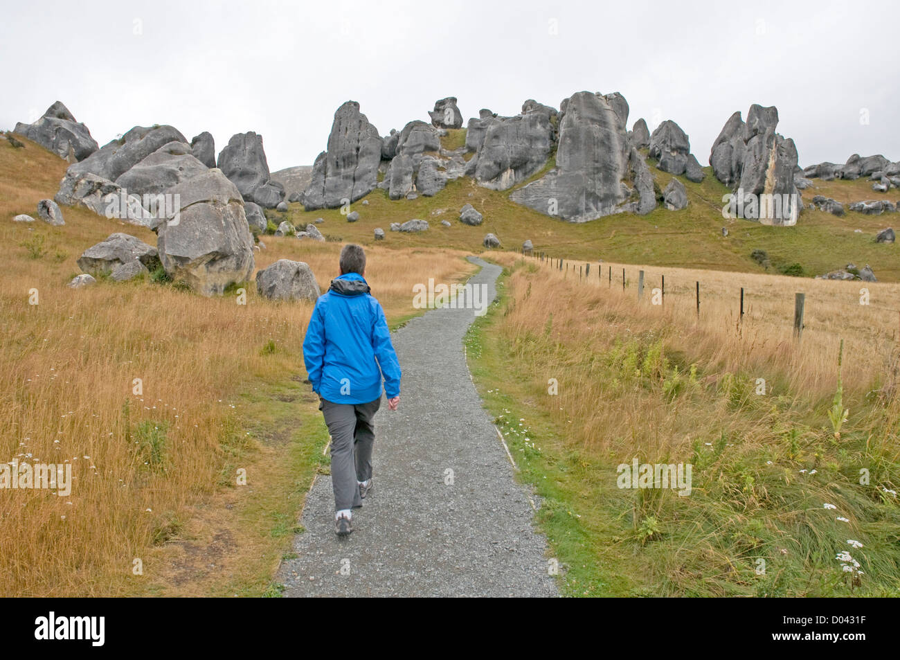 Raro afloramientos rocosos de piedra caliza en la colina del castillo en la Isla del Sur de Nueva Zelanda Foto de stock