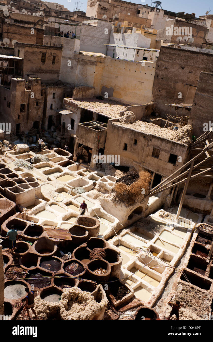 Cubas de tintura Fez, Marruecos Foto de stock