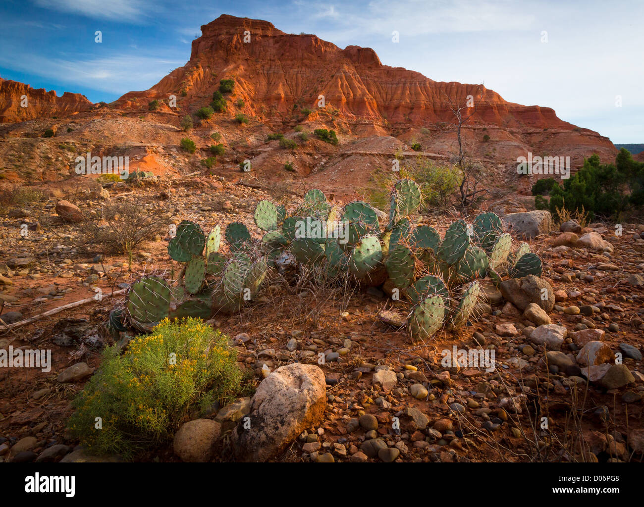 Cresta de arenisca y Nopales en Caprock cañones State Park Fotografía de  stock - Alamy