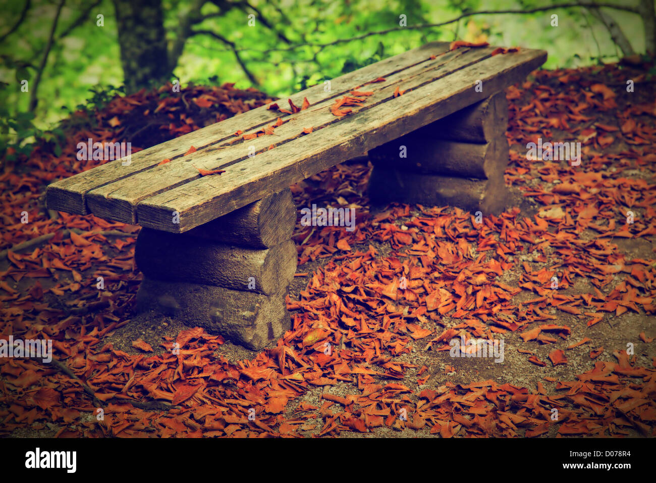 Un banco viejo con hojas de otoño, caen en un bosque. Foto de stock
