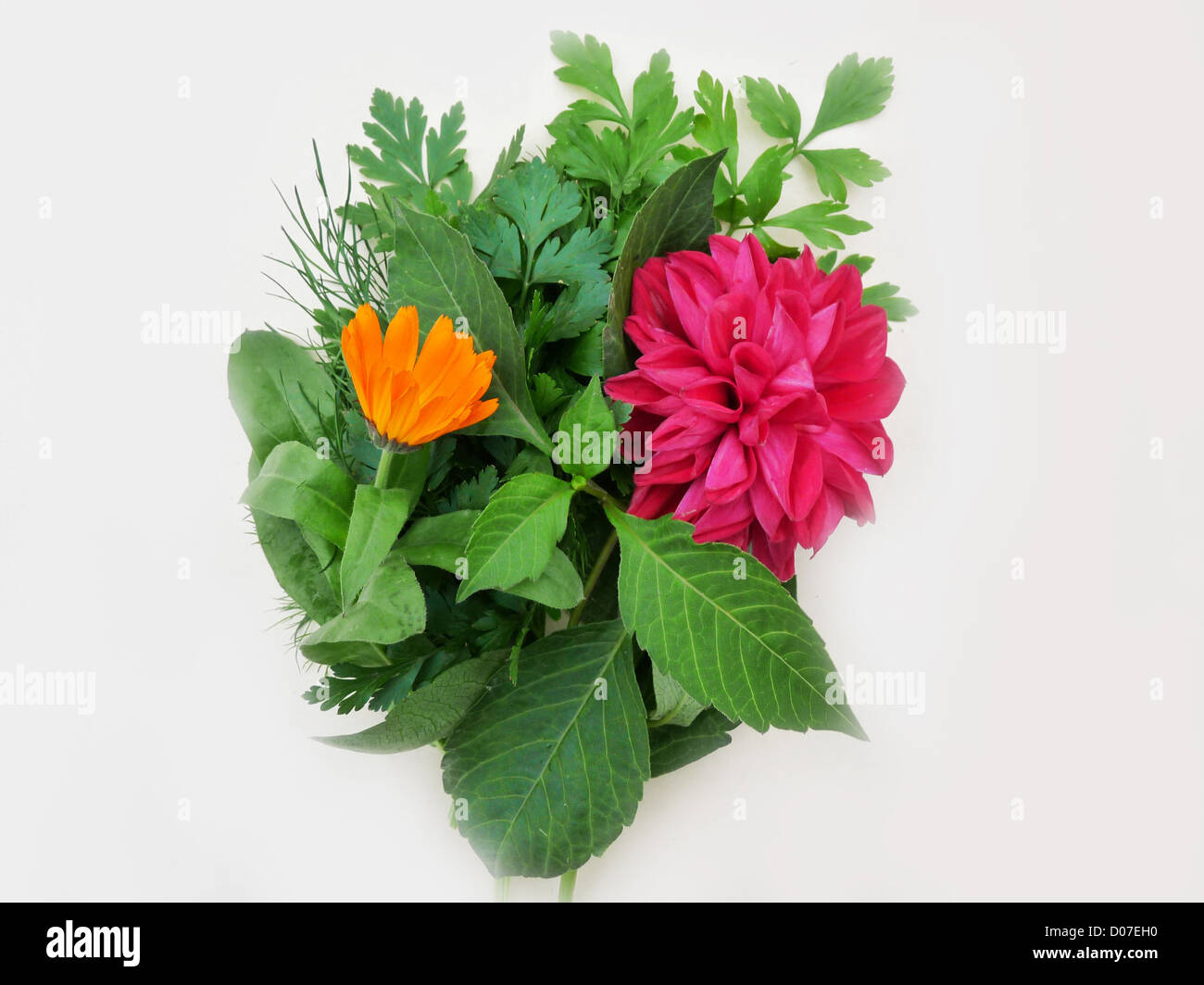 Bouquet; flores; dalia; caléndula; perejil; eneldo; frambuesa; rojo; amarillo; naranja; verde; hojas; el otoño; plantas; flora; Foto de stock