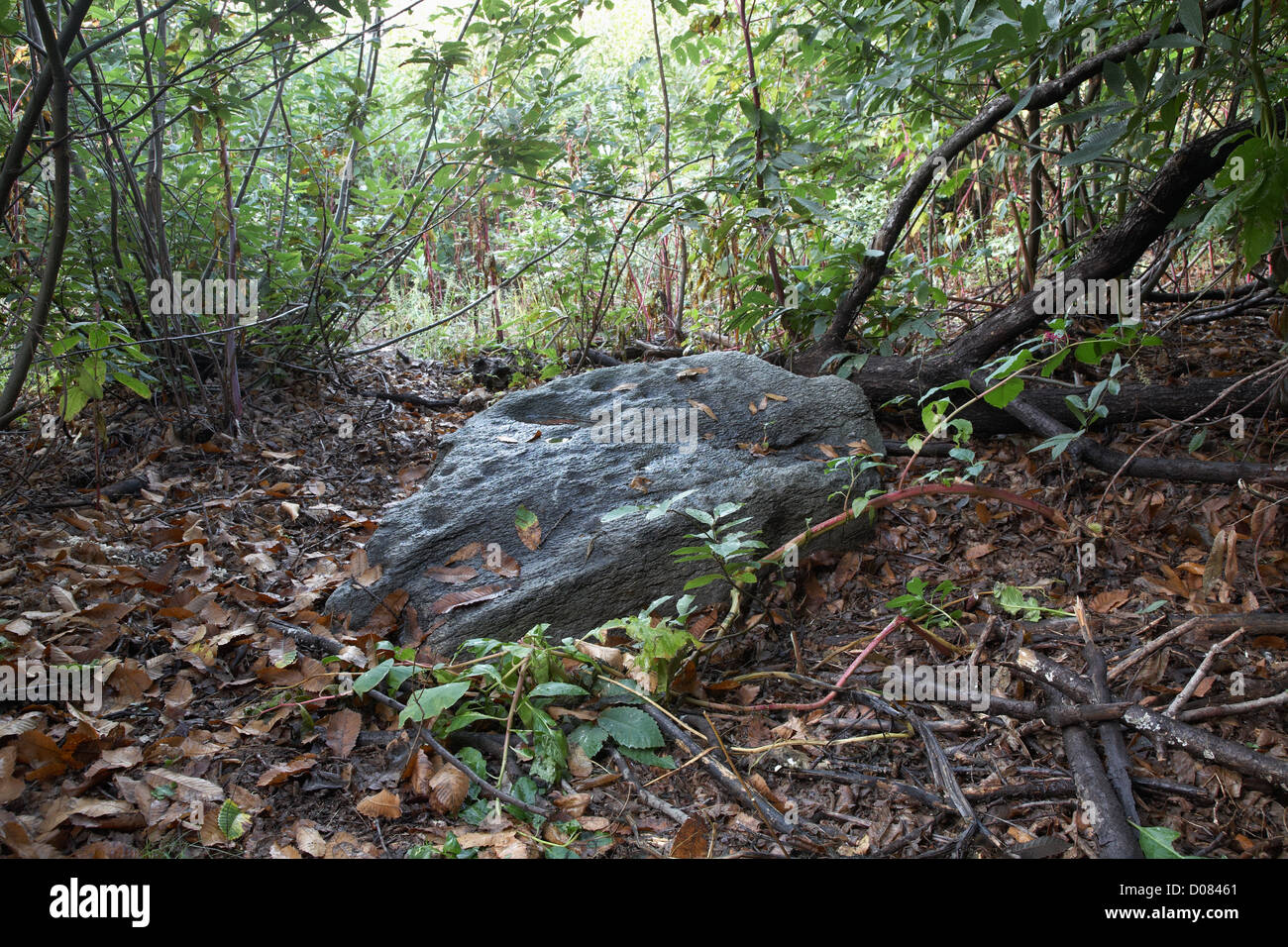 Errático Fotos e Imágenes de stock Alamy
