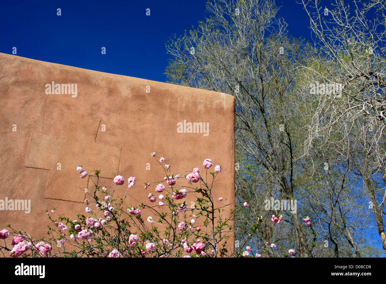 Detalle de un edificio de adobe en un soleado día de primavera Foto de stock