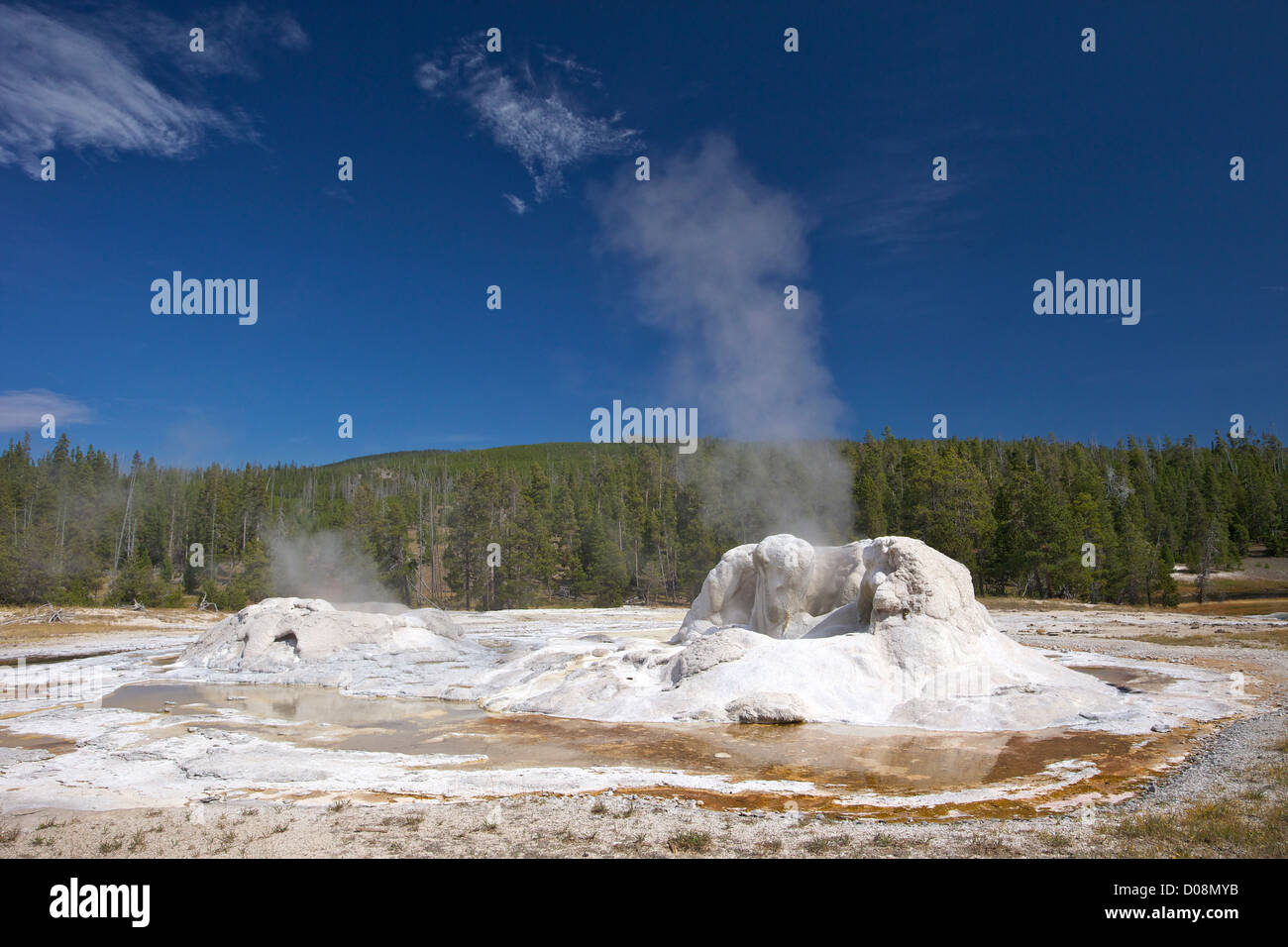 Castillo Superior GÉISER, GEISER Basin, el Parque Nacional Yellowstone, Wyoming, EE.UU. Foto de stock