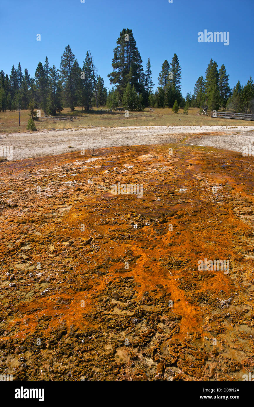 Formaciones geotérmicas y colores creados por la actividad microbiana y depósitos minerales, West Thumb Geyser Basin, Parque Nacional Yellowstone Foto de stock