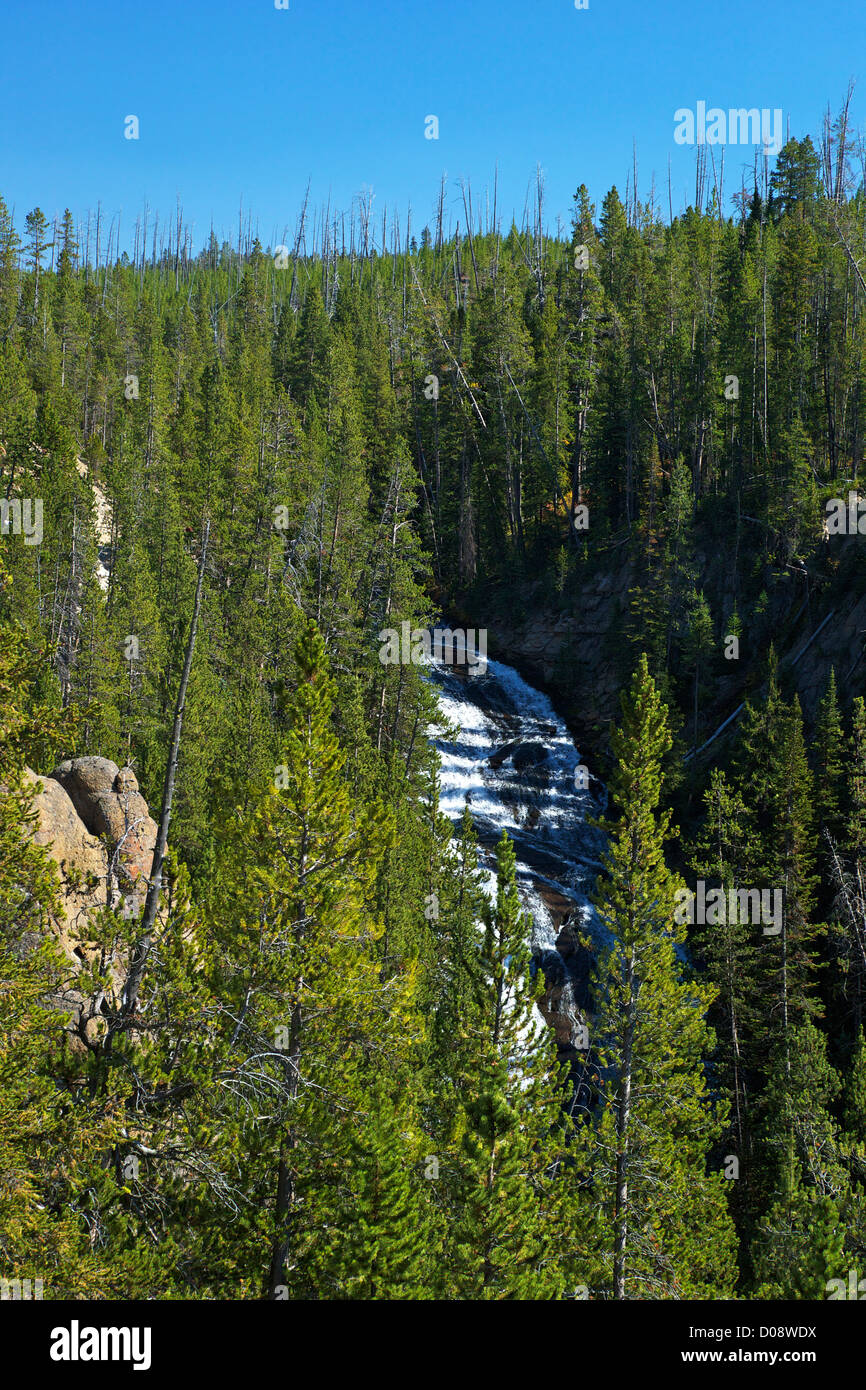 Virginia Cascade Norris, cerca del Parque Nacional Yellowstone, Wyoming, EE.UU. Foto de stock