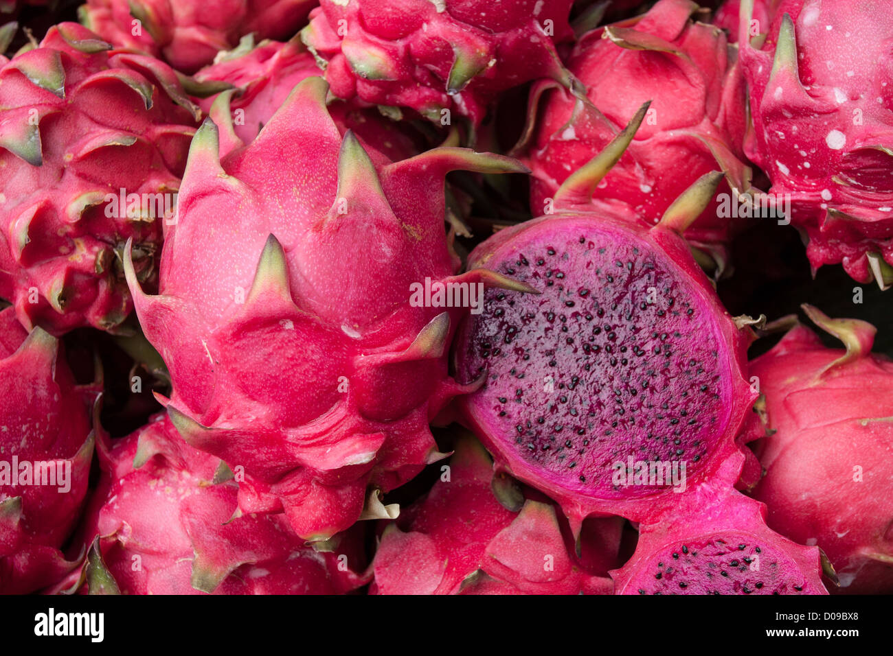 Rosa pitaya fotografías e imágenes de alta resolución - Alamy