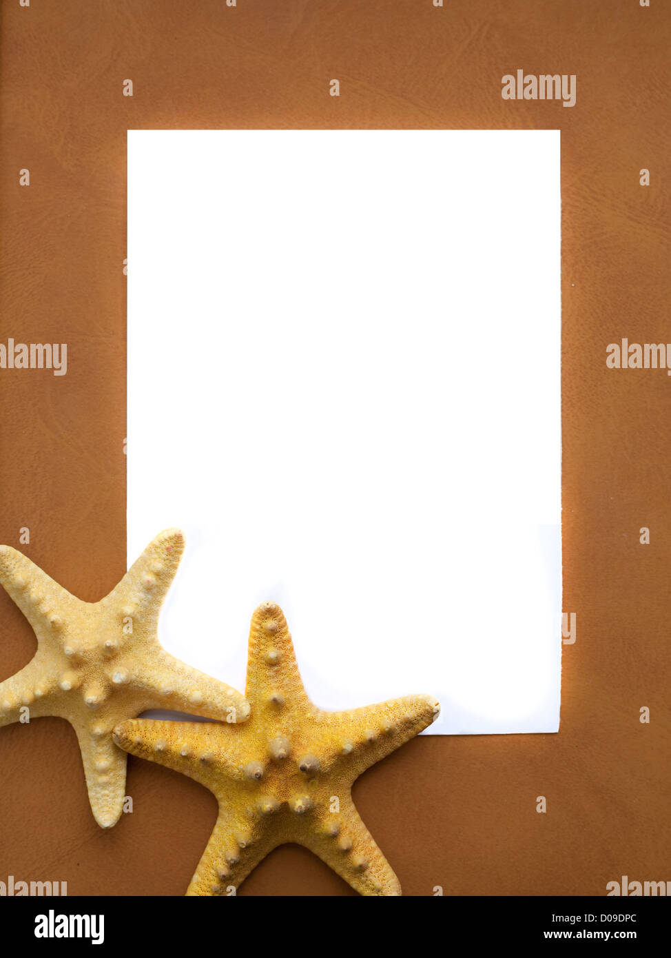 Bastidor de mar con estrellas marinas y espacio vacío Foto de stock
