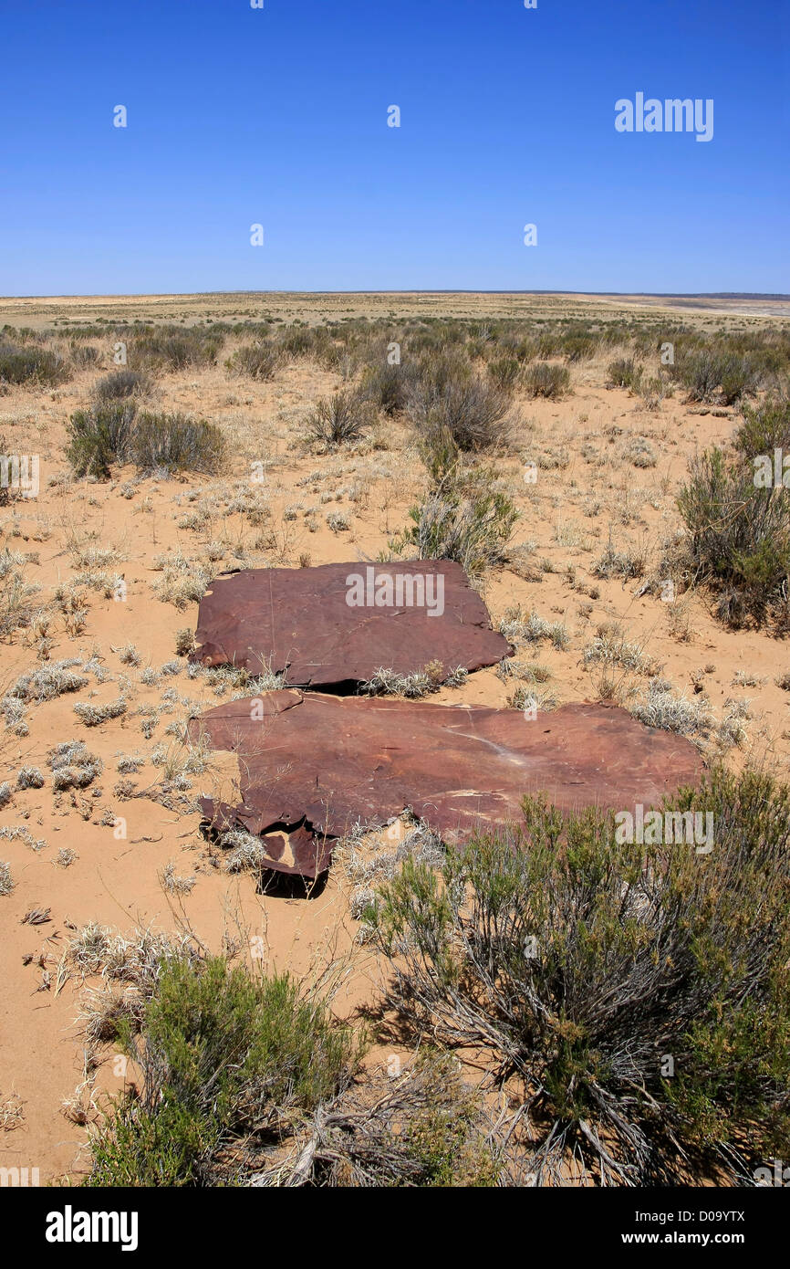 Abandonado en el desierto de metal Foto de stock