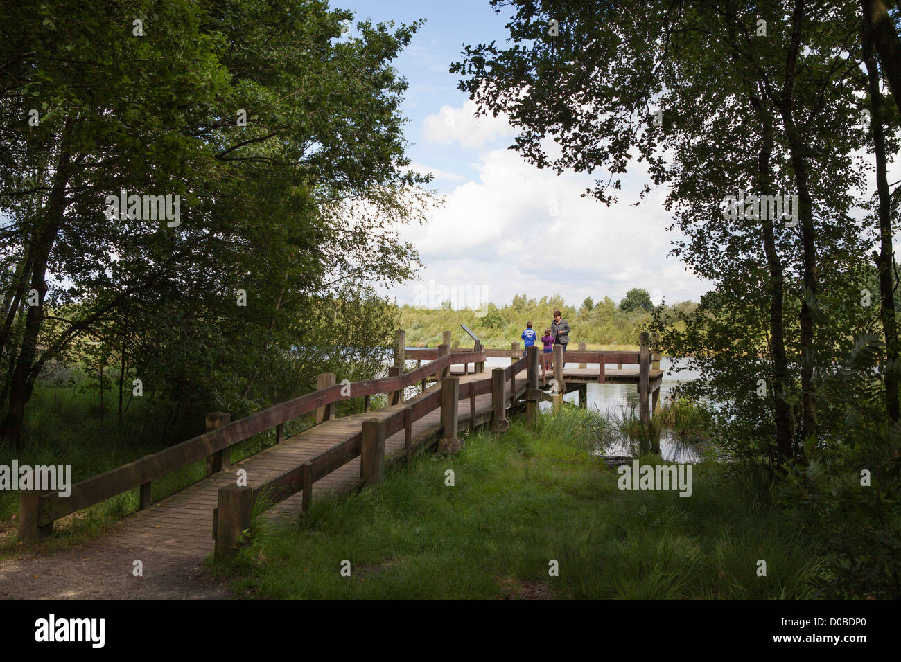 Nationaal Park de Groote Peel con su familia en el Jetty en los Países Bajos, provincia Noord-Brabant Foto de stock