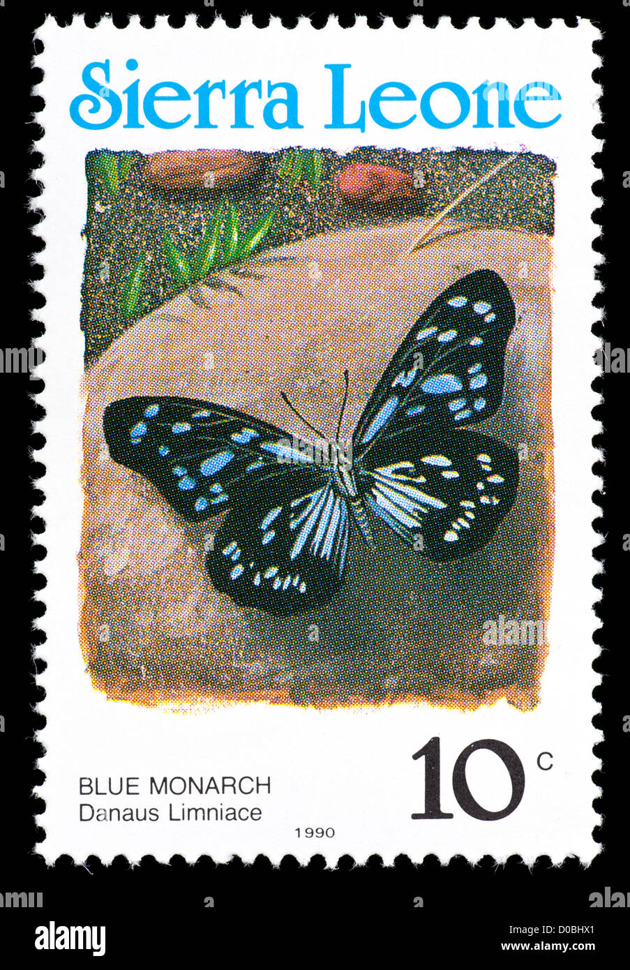 Sello de Sierra Leona que retrata a un azul de la mariposa monarca (Danaus limniace) Foto de stock