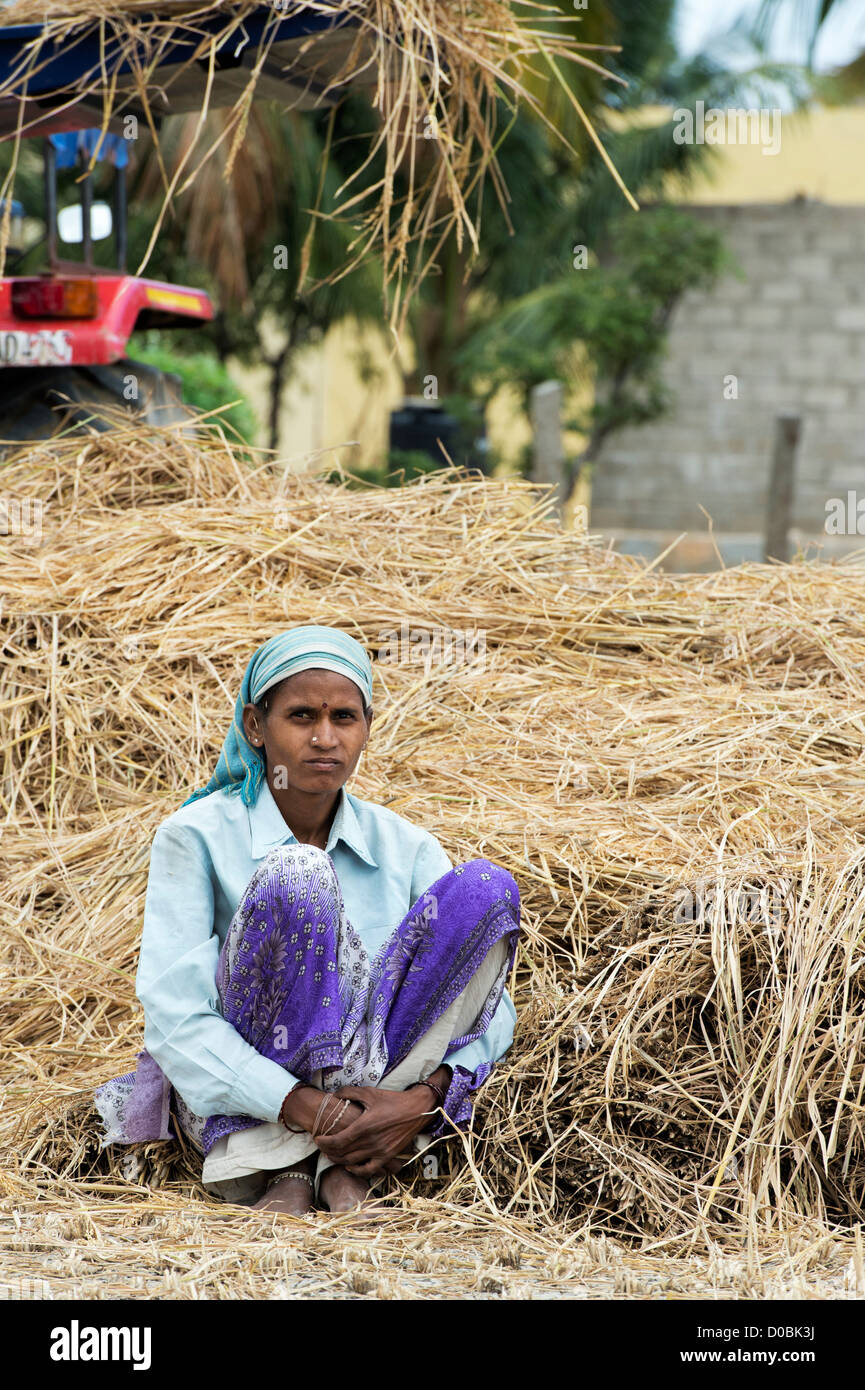 Los trabajadores agrícolas indias la recolección de la cosecha de arroz. En  Andhra Pradesh, India Fotografía de stock - Alamy