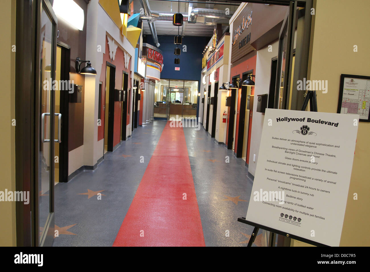 El ambiente del hotel El Barkley Pet Hotel & Spa de día y el nuevo hospital de animales Westlake