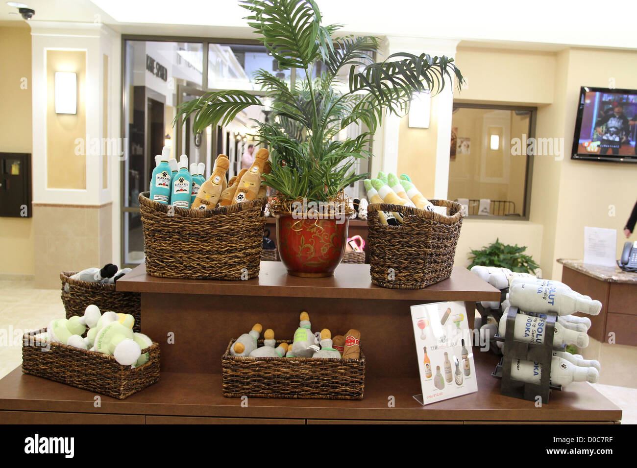 El ambiente del hotel El Barkley Pet Hotel & Spa de día y el nuevo