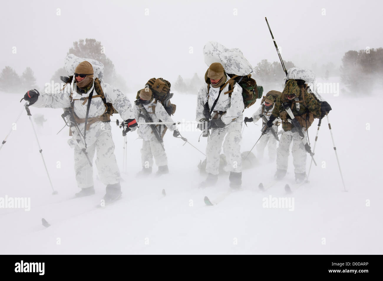 Los Marines de Estados Unidos y remolque de esquí marino lesionado en una ventisca Foto de stock