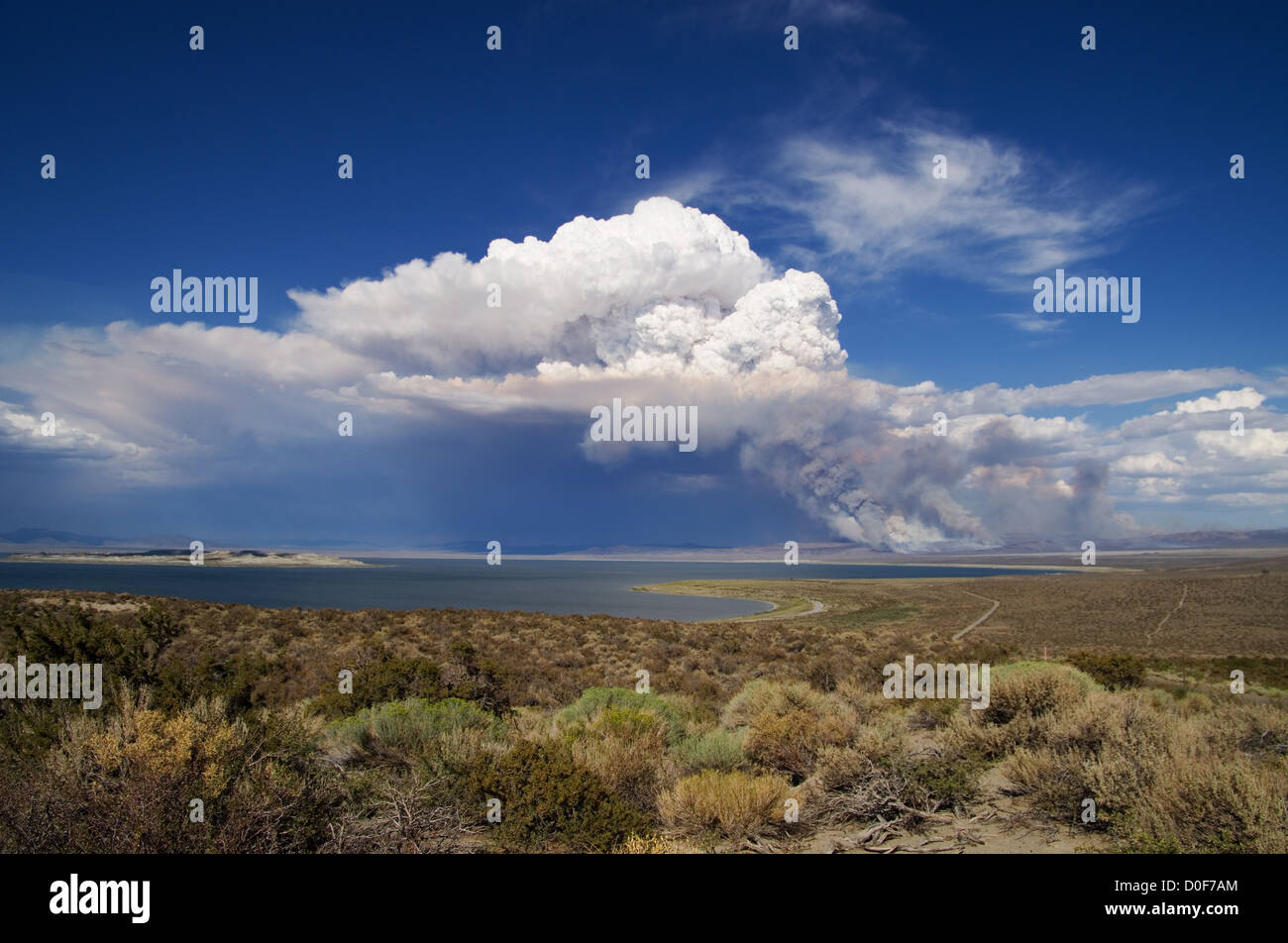 Y una nube de humo sube por encima de un bosque lejano fuego cerca del Lago Mono Foto de stock