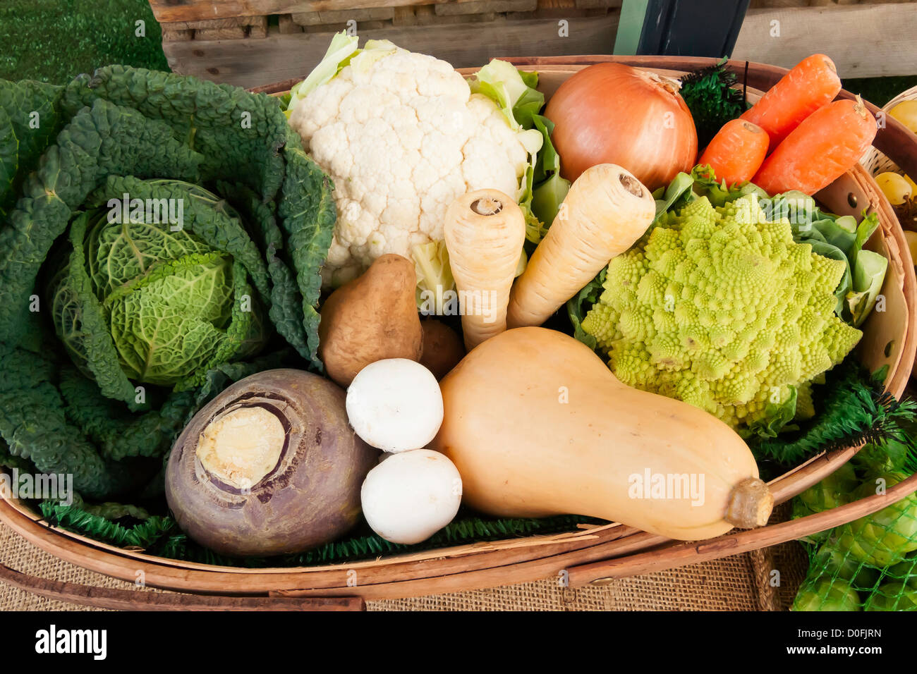 Una trug llena con una atractiva colección de hortalizas de invierno Foto de stock