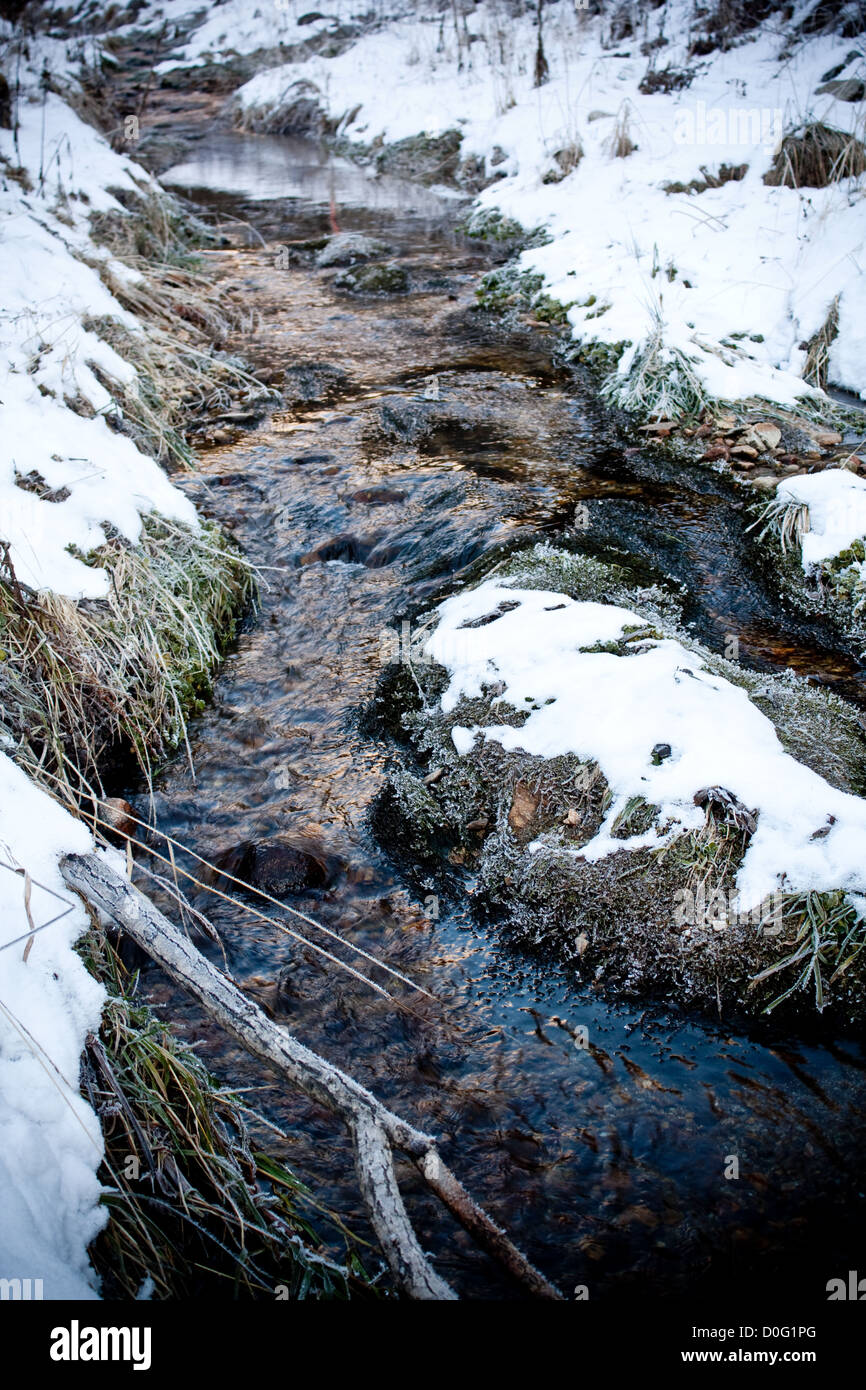 El manantial de agua clara que fluye a través de la piedra en el valle Creek. Foto de stock