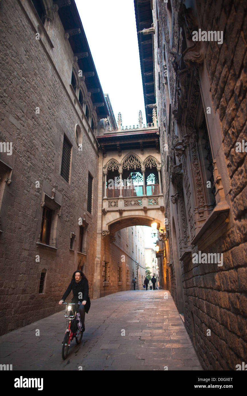 La calle del Bisbe Irurita, Barrio Gótico, Barcelona, Cataluña, España Foto de stock