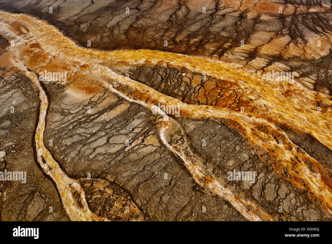 Mat bacteriana - Cuenca del Géiser de Midway Foto de stock