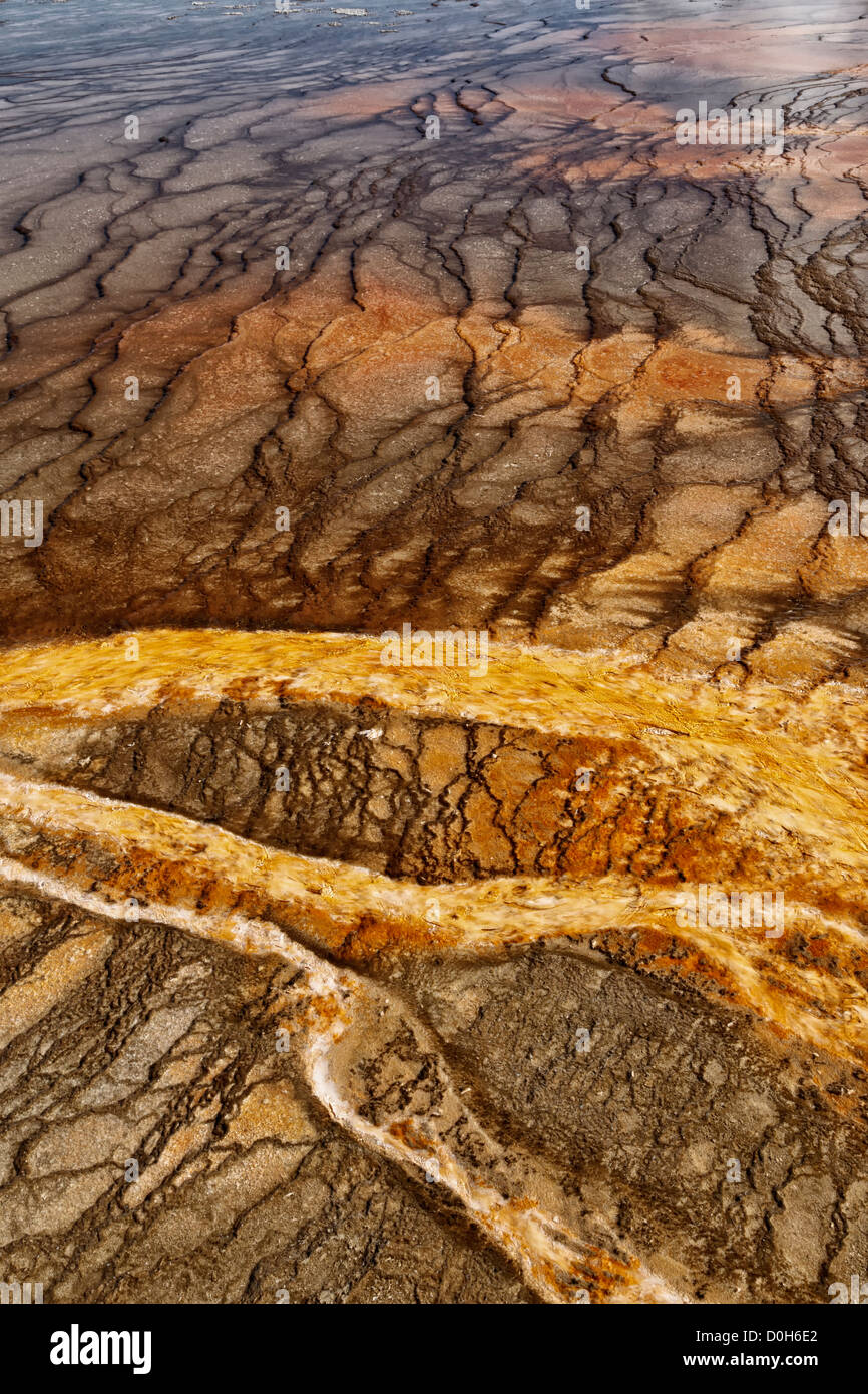 Mat bacteriana - Cuenca del Géiser de Midway Foto de stock