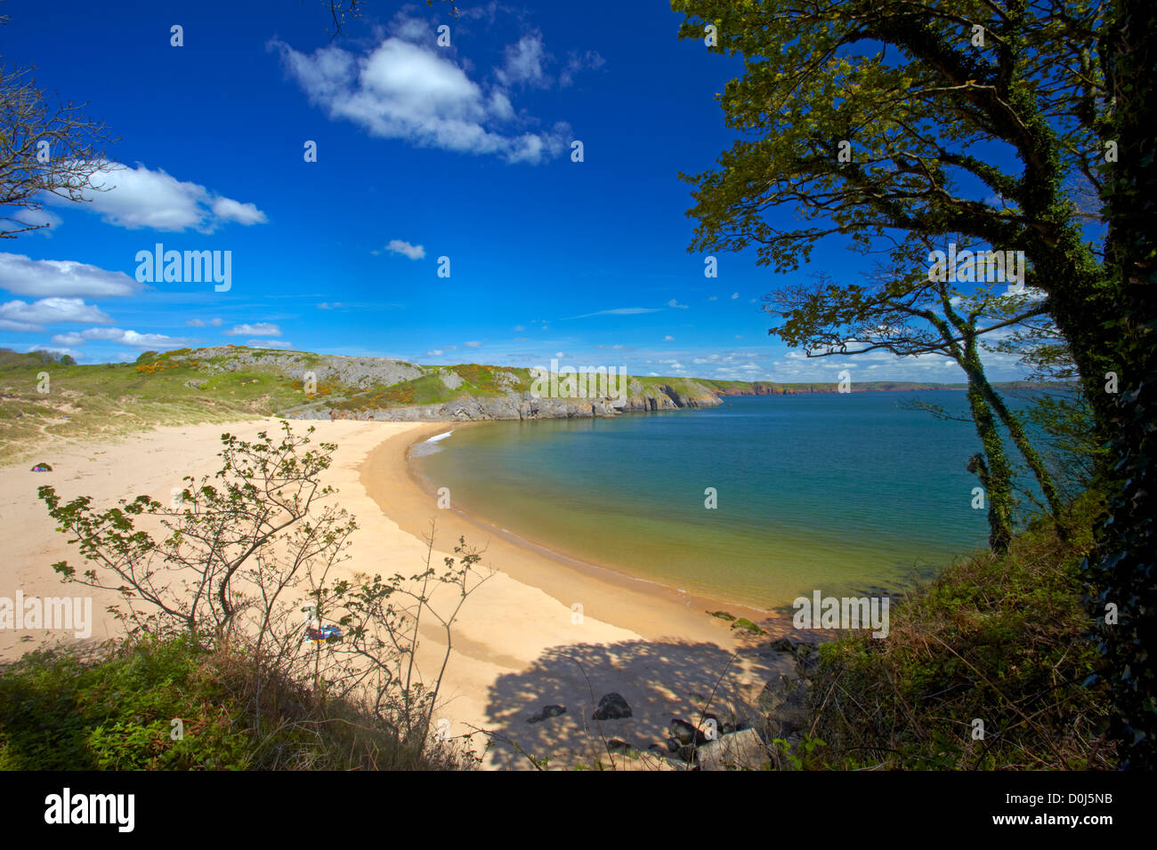 Vistas Barafundle Bay, que es considerado como uno de los diez mejores playas del Reino Unido. Foto de stock