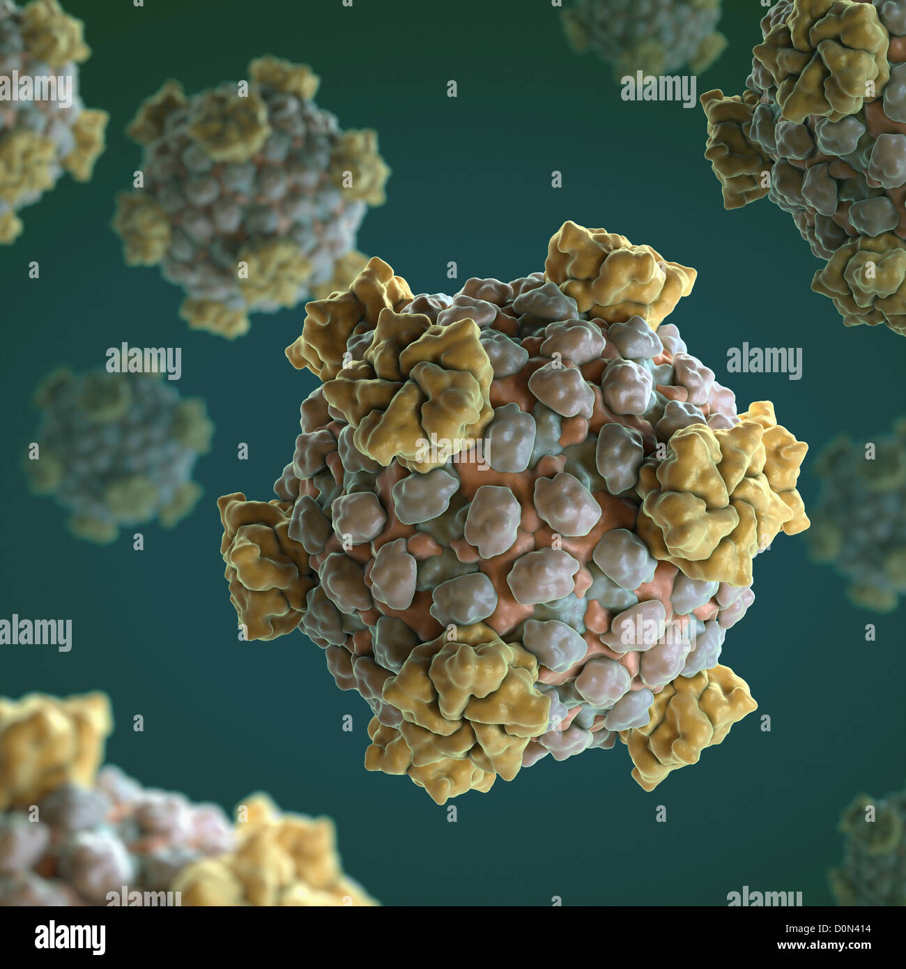 Estructura Reovirus core (PDB 1EJ6) en el que se sintetizan las exportaciones modifica el ARN mensajero viral. Reovirus infección ocurre frecuentemente Foto de stock