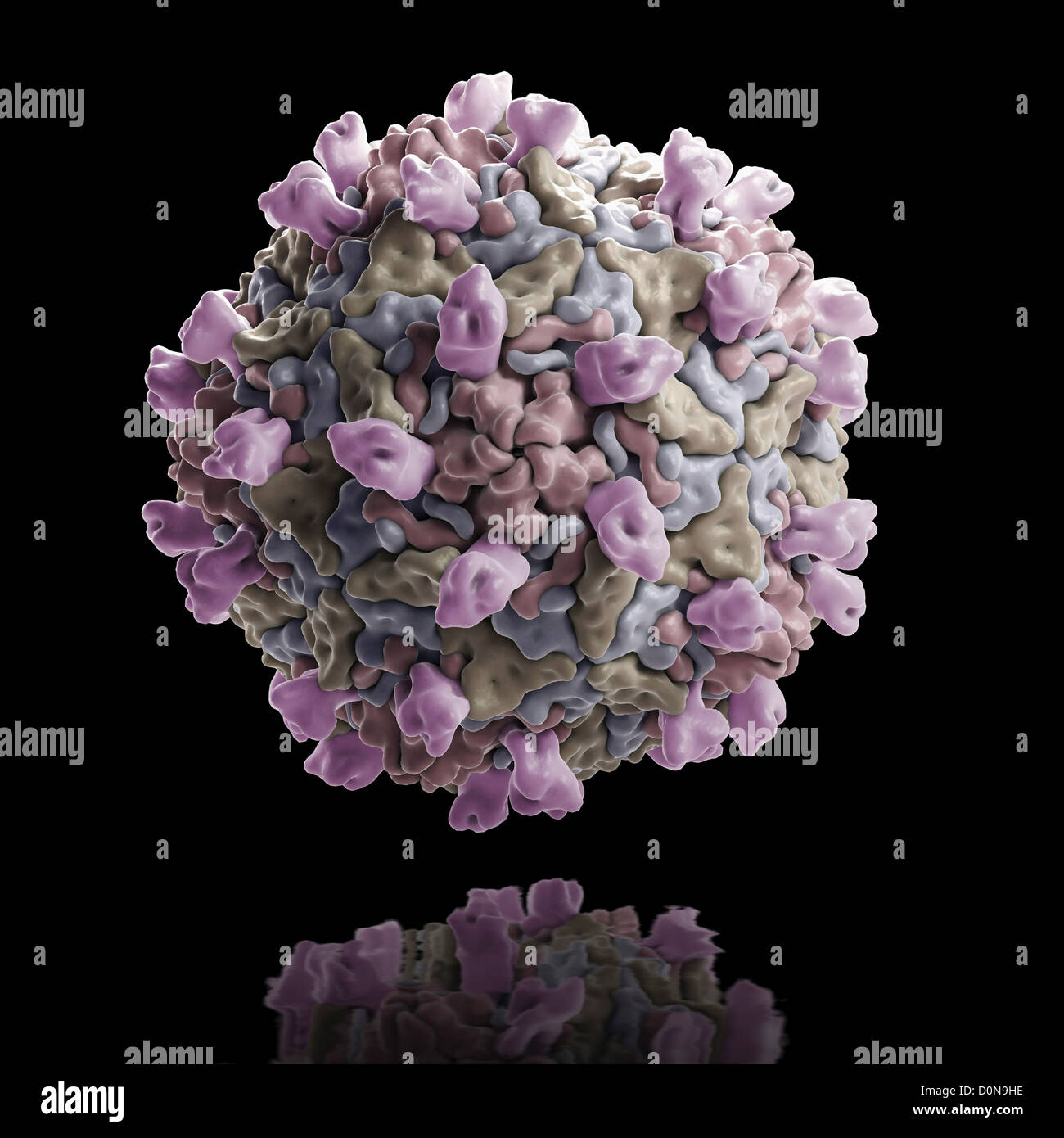 Cryo-em estructura el virus Coxsackie del grupo B m strain es receptor celular (PDB 1judío). Los virus coxsackie del grupo B suelen infectar el corazón Foto de stock
