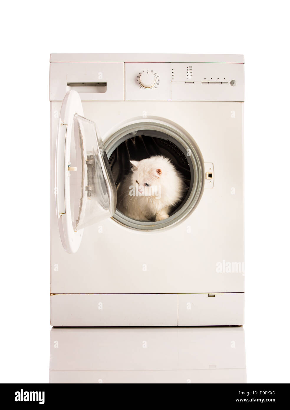 Lavadora de gato fotografías e imágenes de alta resolución - Alamy