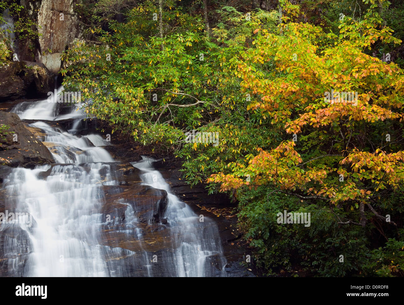 GA00184-00...GEORGIA - Anna Ruby Falls en el Chattahoochee National Forest. Foto de stock