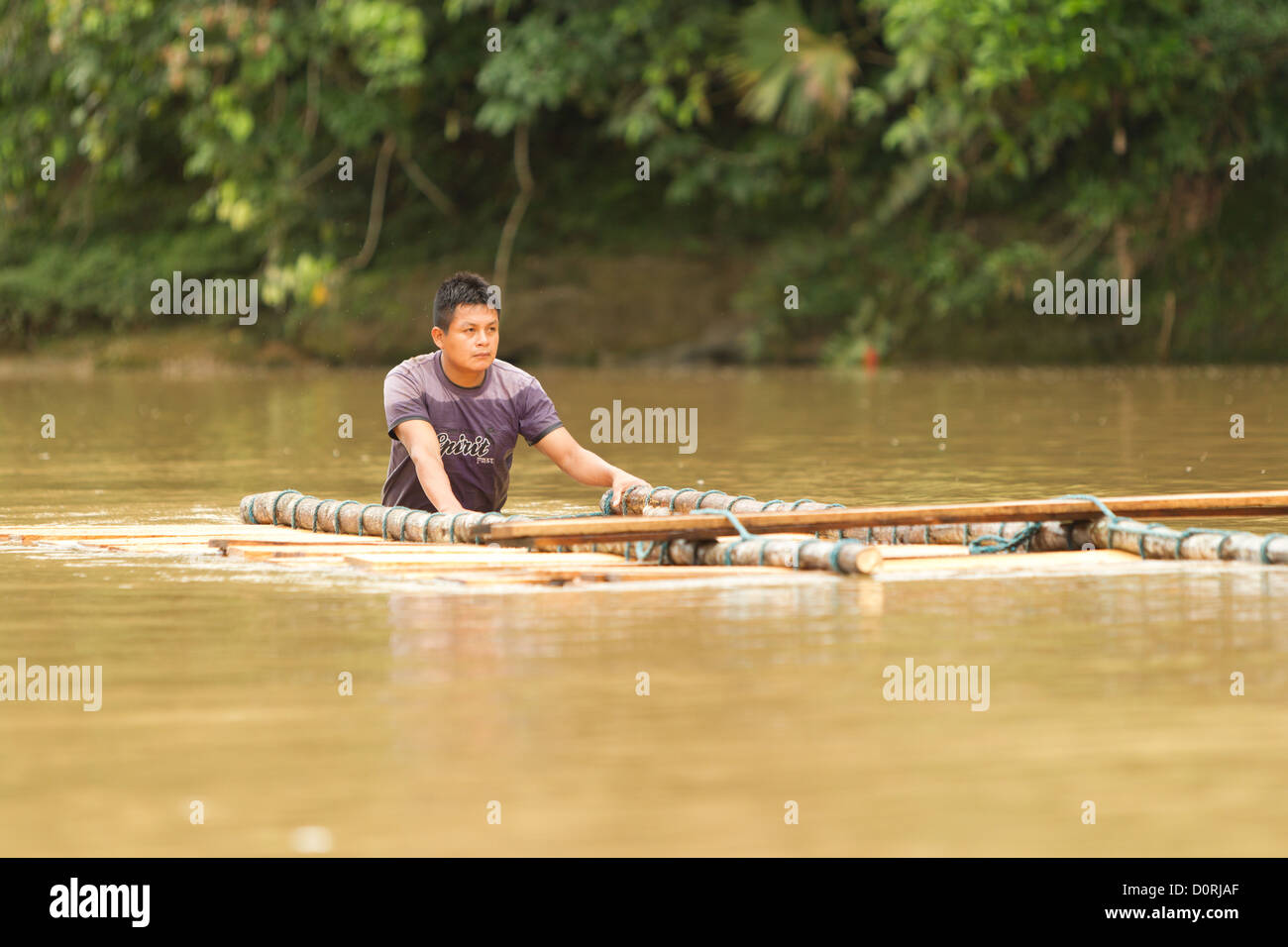 Un hombre adulto de transportar madera caoba abajo el río Napo en el mercado local una vez a la semana durante más de cinco millas Foto de stock