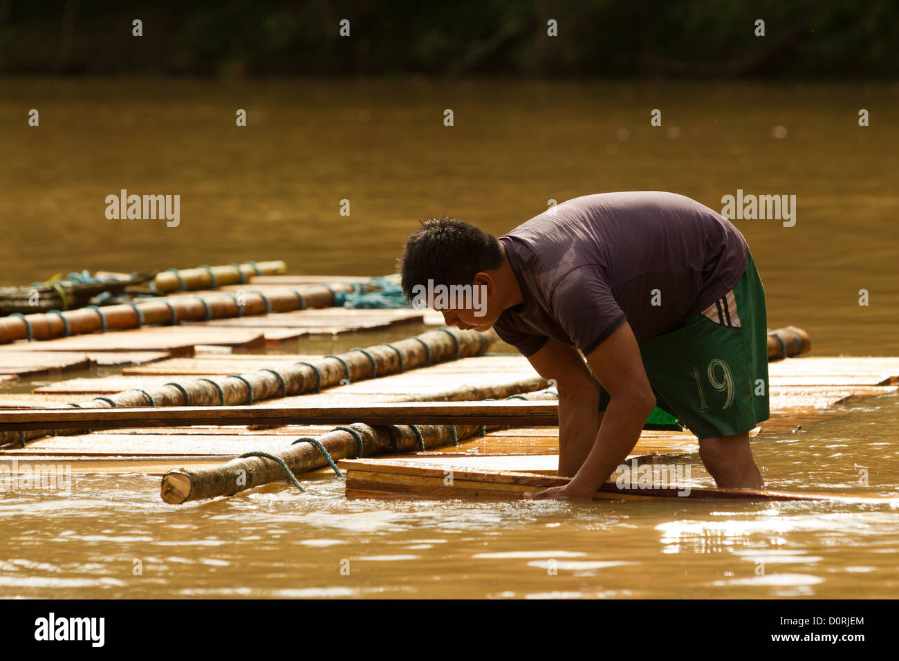 Un hombre adulto de transportar madera caoba abajo el río Napo en el mercado local una vez a la semana durante más de cinco millas Foto de stock