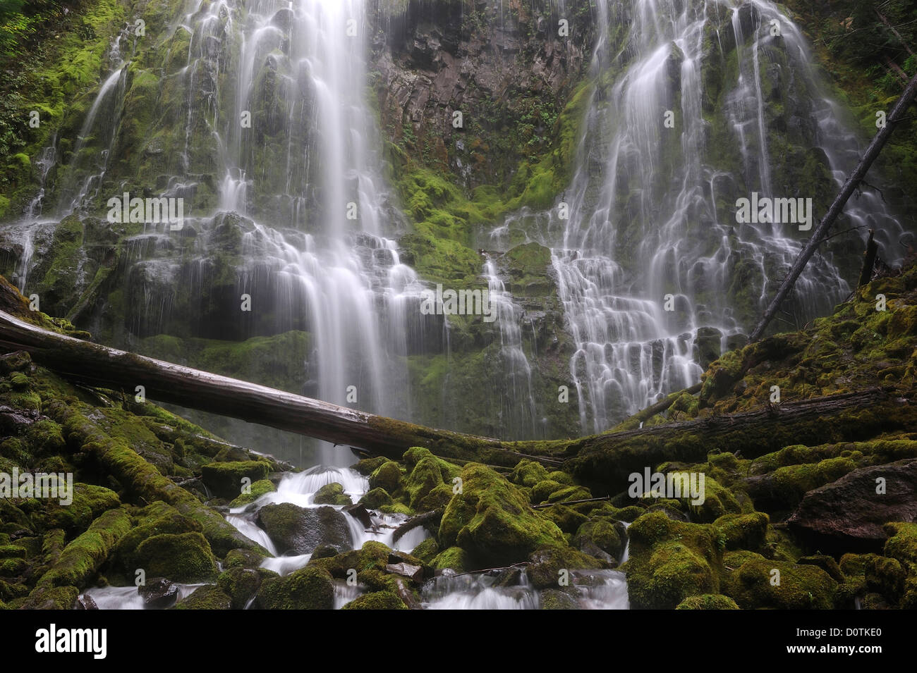 Flujo en cascada, Cascada, Proxy Falls, la cascada, las montañas, el Bosque Nacional de Willamette, cascada, Oregon, USA, Estados Unidos, Am Foto de stock