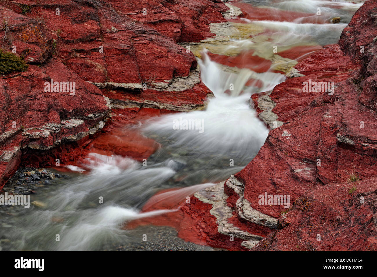 Red Rock Creek que fluye a través de los sedimentos erosionados argilita de Red Rock Canyon, el Parque Nacional Waterton Lakes en Alberta, Canadá Foto de stock