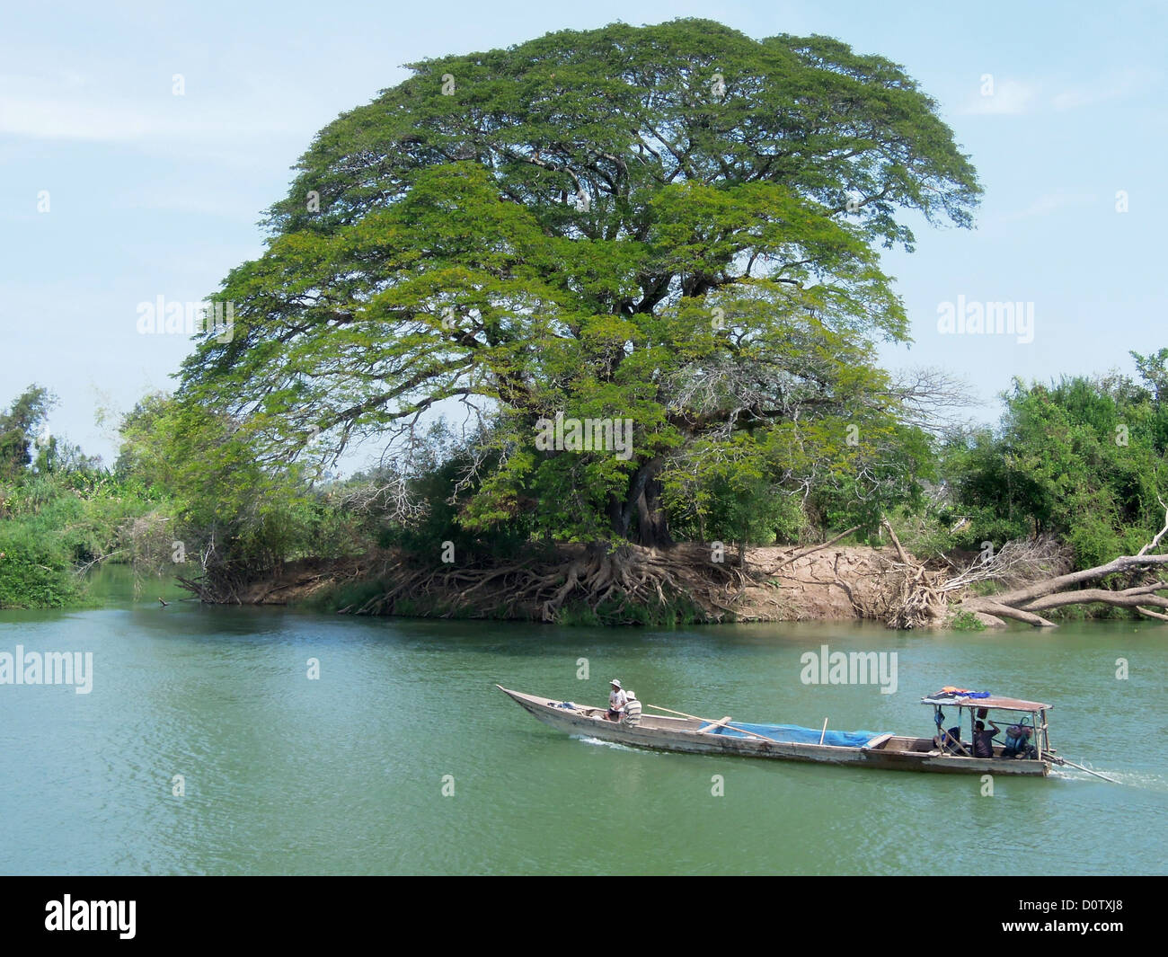 Laos, Asia, Don Det, el Mekong, el río, el flujo, el barco, el árbol, 4000 islas, islotes, Foto de stock
